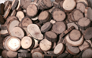 fairy steps native timber